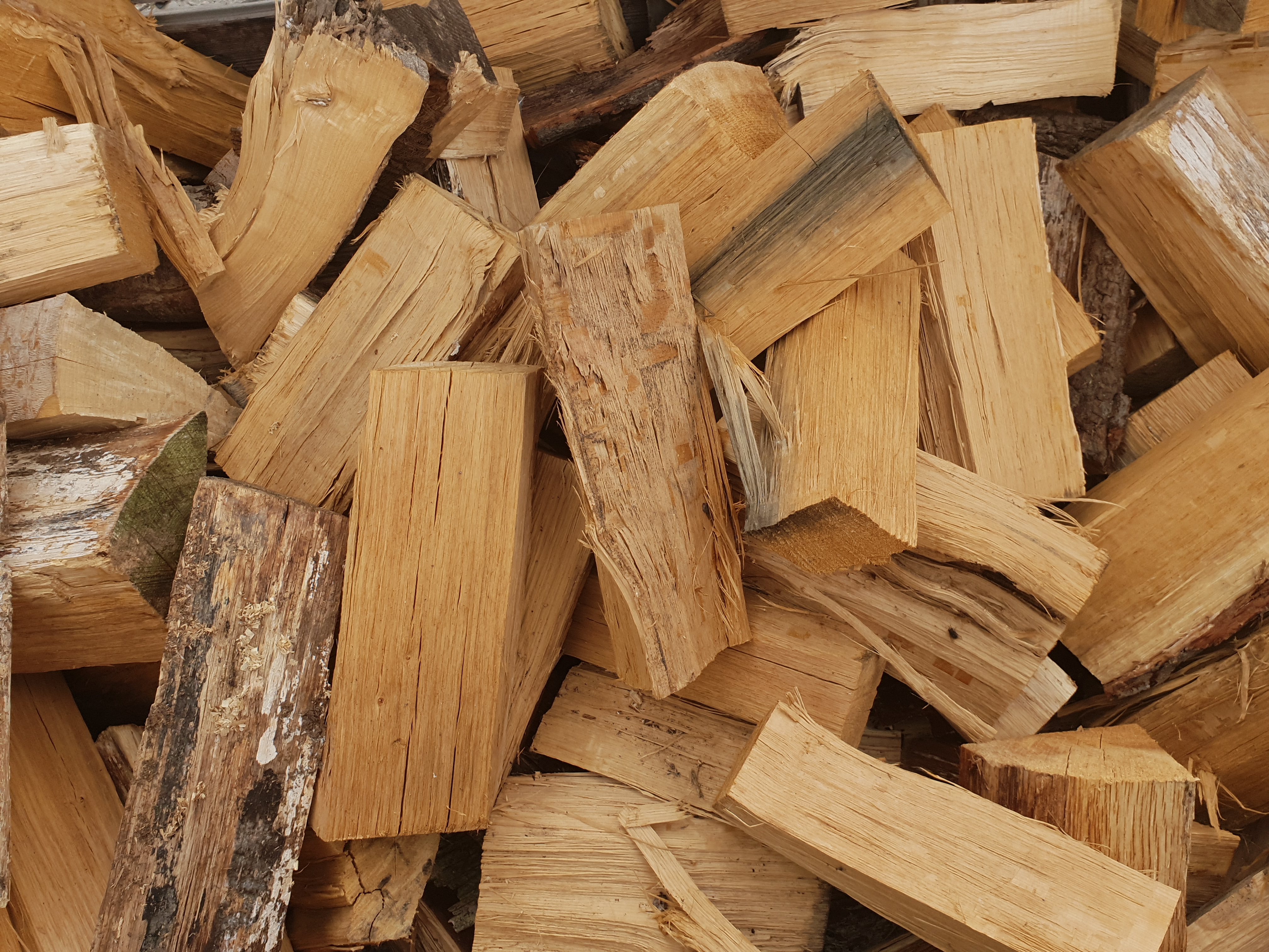 zoogdier Praten tegen Preek verkoop brand hout | Allure Boomverzorging