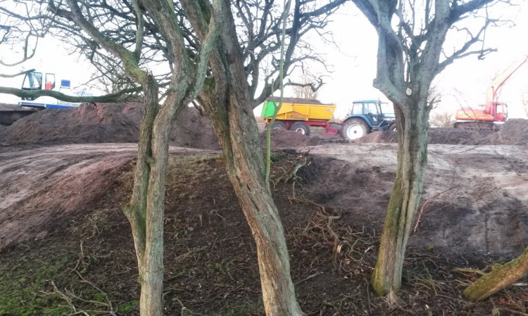 PLAGGEN HEIDETERREINEN / VENNEN