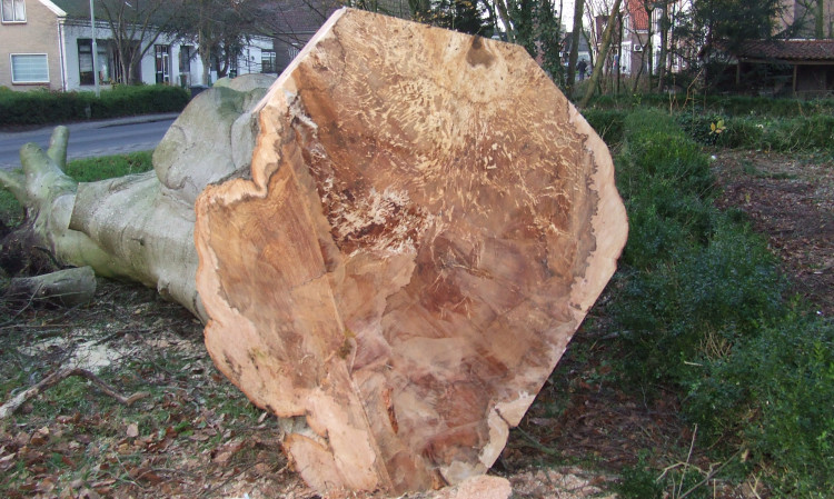 VTA (Controle boomveiligheidscontrole) 